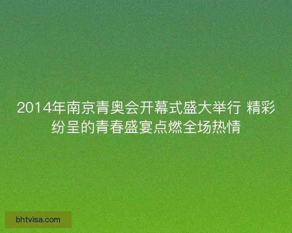 2014年南京青奥会开幕式盛大举行 精彩纷呈的青春盛宴点燃全场热情
