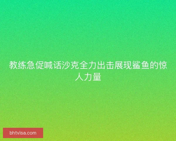 教练急促喊话沙克全力出击展现鲨鱼的惊人力量 教练急促喊话沙克全力出击展现鲨鱼的惊人力量